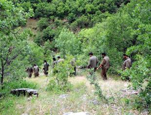 More PKK militants surrender as peace process continues, data shows