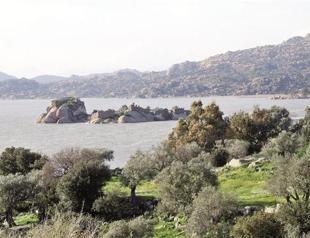 Spray paint on ancient rocks elicits reaction