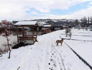 Heavy snowfall hits eastern Turkey