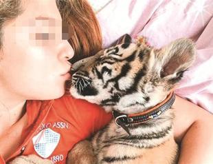 Wild animal cubs growing trend among Turkey’s rich kids