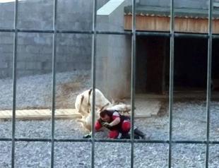 PHOTOS: Deer fight in Turkish zoo turns on keeper