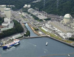 Japan eyes nuclear for a fifth of electricity supply