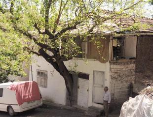 Turkish man allows tree to grow inside house