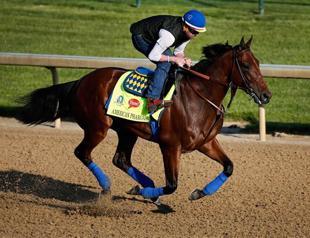 American Pharoah early Kentucky Derby favorite