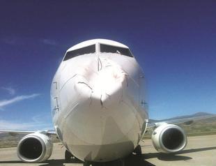 Bird migration routes to be altered by signals at Istanbul’s third airport