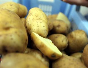 Ministers disagree over Turkey’s skyrocketing potato prices