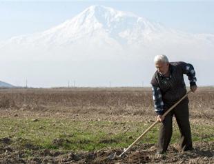 Growth to slow in Central Asia, Caucasus: IMF