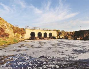 Ergene project will destroy marine life: Report