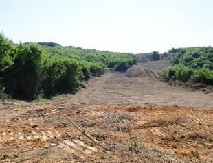 New clause allows buildings along third Istanbul bridge motorway