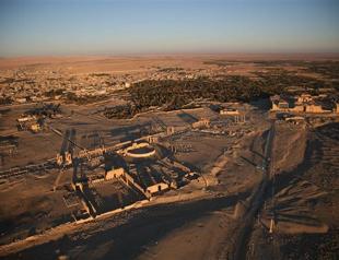 ISIL executes 217 in, near Syrias Palmyra in 9 days: Monitor