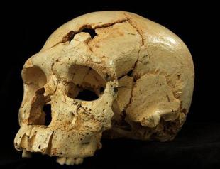 Broken skull hints at earliest homicide