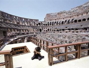 Rome’s Colosseum unveils wild beast trapdoor