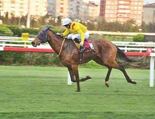 Golden Tower wins Eurasia summit horse race