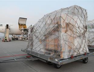 Red Cross flies first medical aid into Yemen capital