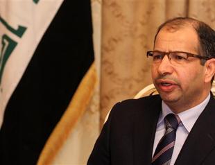 Iraq speaker says Anbar operation not well prepared