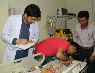 Some 30 people attacked by dogs in southeast Turkey