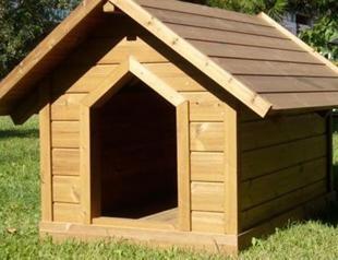 Officer charged with building shelter for dog with military material acquitted of charges