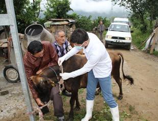 Five people diagnosed with anthrax in Black Sea village