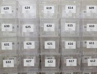 Volunteers line up for fair count at ballot box