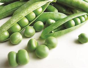 Pearly Peas & Frog Princes