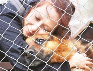 Cankurtar Ankara: How to save a life