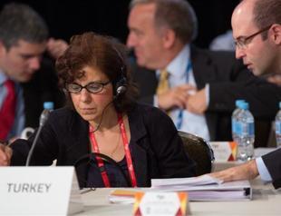 Turkey seeks progress on more focused, inclusive G-20 growth plan