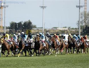 23 new horse tracks to be built in Turkey