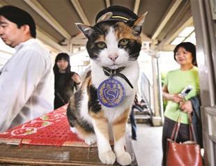 Cat stationmaster elevated as goddess