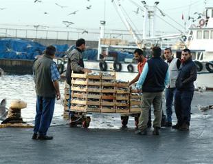 Turkey’s fishing industry shrinking