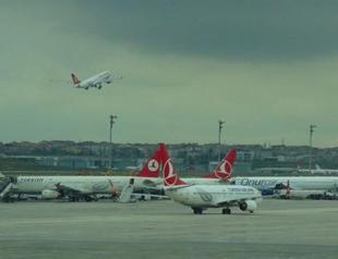 Stray dogs interrupt flights at Istanbul airport