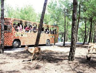 Turkey’s first Safari Park opens