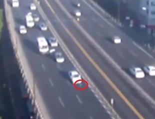 VIDEO: Seagull causes pileup in central Istanbul