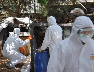 Bird flu cases detected in Istanbul’s Kartal, Arnavutköy: Report