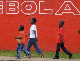 Liberia investigating animal link after Ebola re-emerges