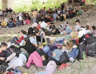 Report reveals plight of Yazidi refugees in Turkey