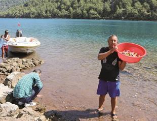 Serving water to rabbits on Turkish island