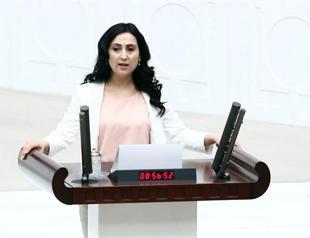 HDP open to coalition with unwilling AKP: co-chair