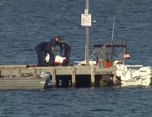 Beaches closed after Australia shark sightings