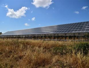 Mafia and multinationals milk Italy’s green energy boom