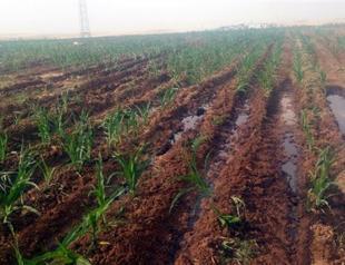 Oil pipeline attacked in eastern Turkey