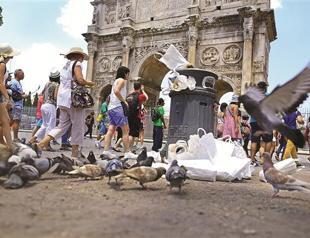 Italy cracks Mafia sheep code to arrest Godfathers henchmen