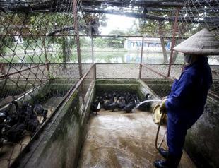 EU announces free trade deal with Vietnam ‘in principle’