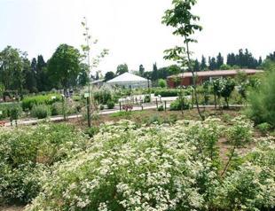 Experts hunt for wonder drugs in special Turkish garden