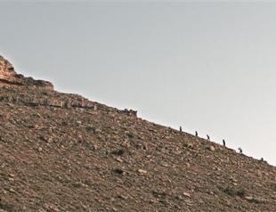 Turkish cinema takes on Venice