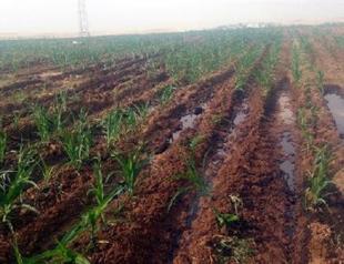 KRG says oil pipeline sabotage leads to stoppage, costs $250 mln