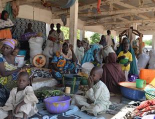 Boko Haram abducts 135, kills 8 in Cameroon raid