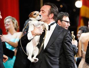 Uggie, dog in The Artist, put down