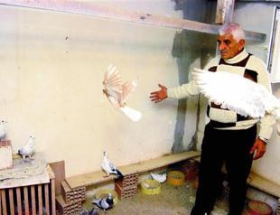 Popes’ pigeon feeder ‘Mud Ali’ passes away