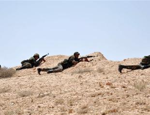 European nations synchronise laws on Islamist foreign fighters