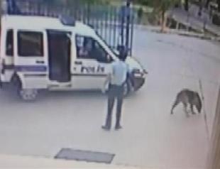 Old woman dies after being hit by laid off police officer in İzmir